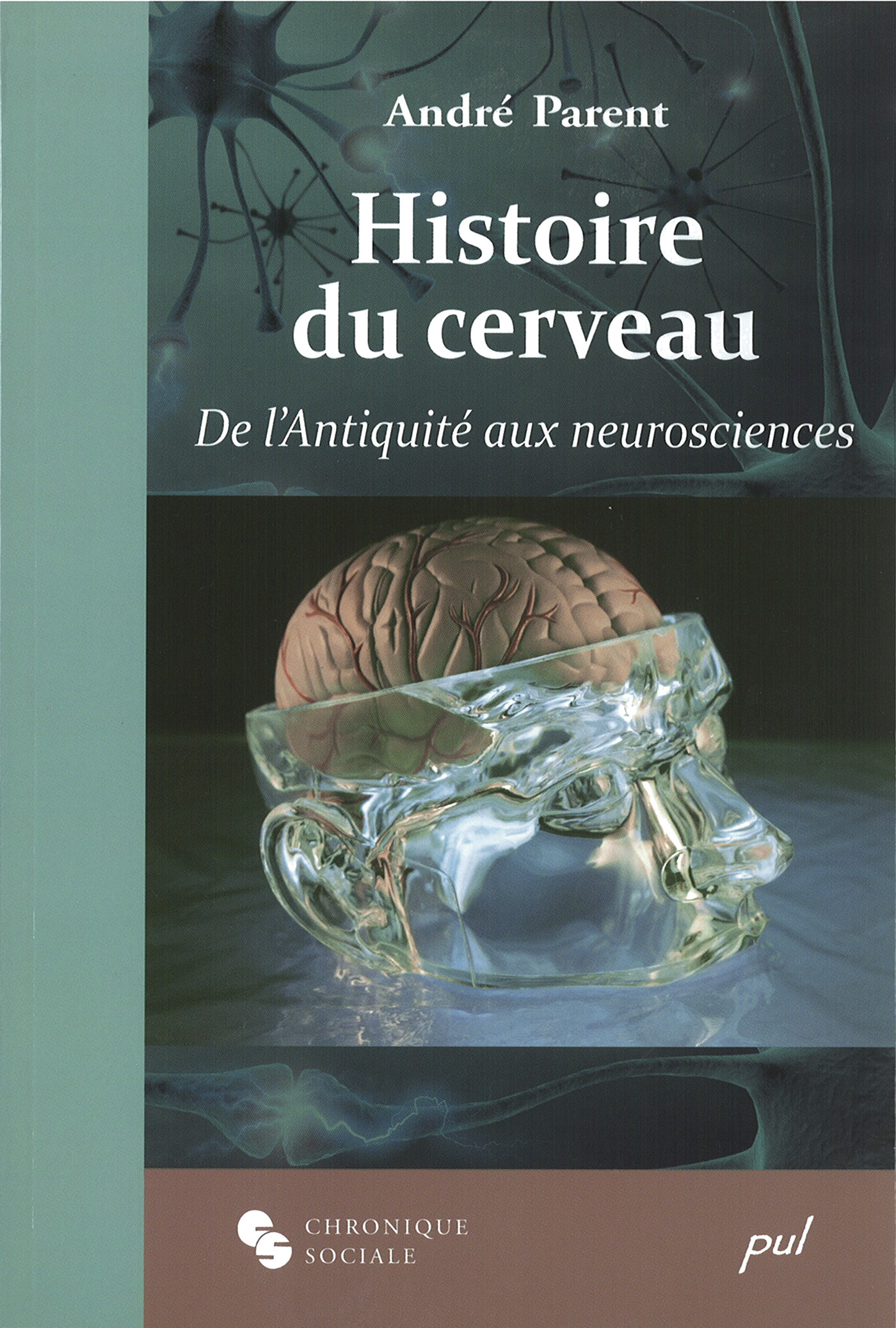 Histoire du cerveau