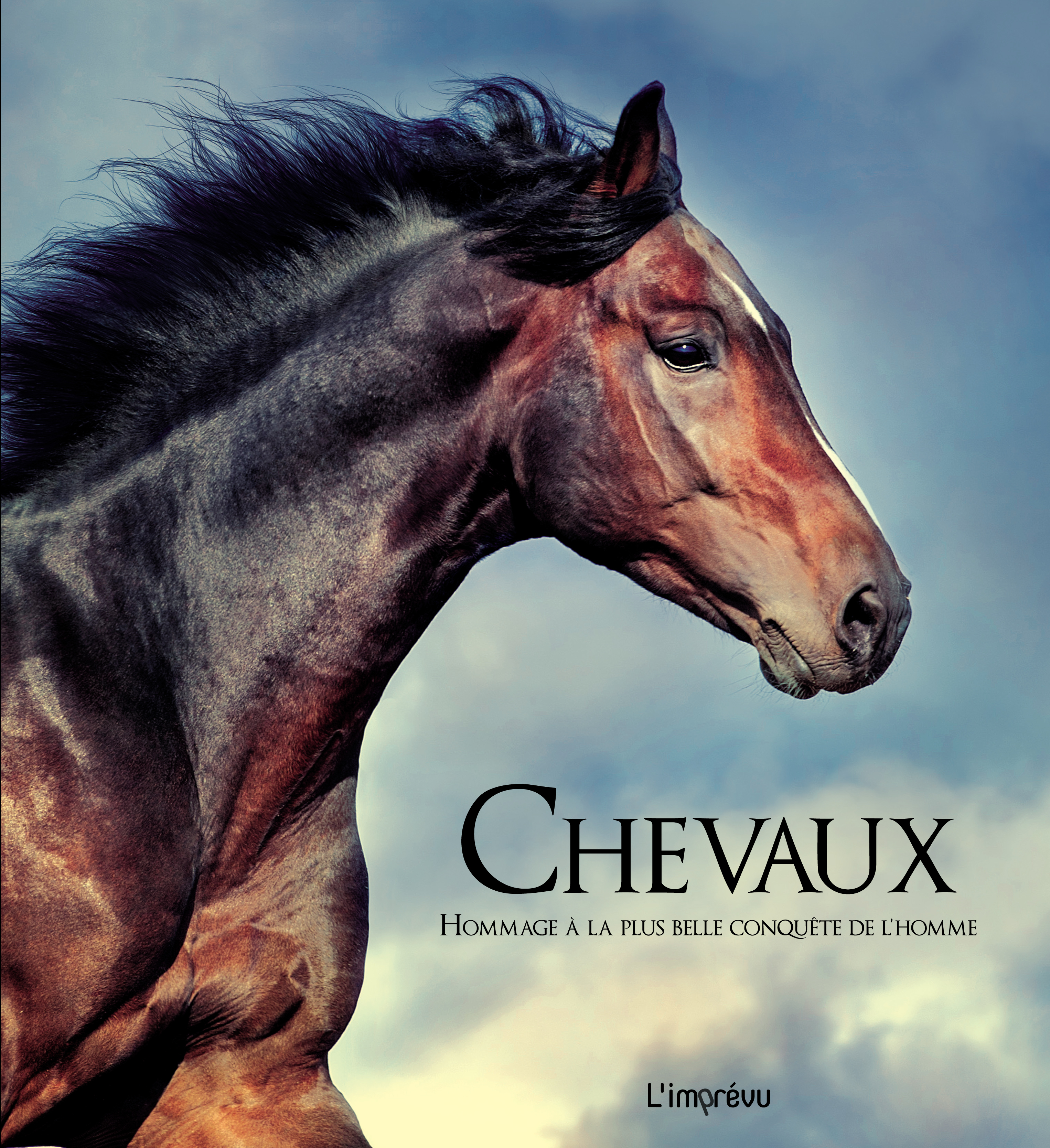 CHEVAUX