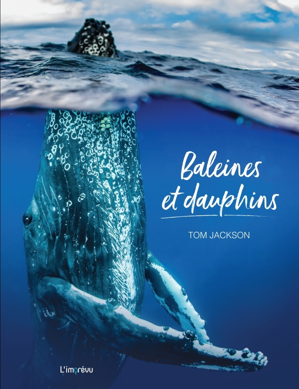 Baleines et dauphins