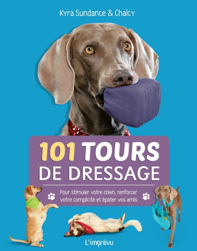 101 tours de dressage