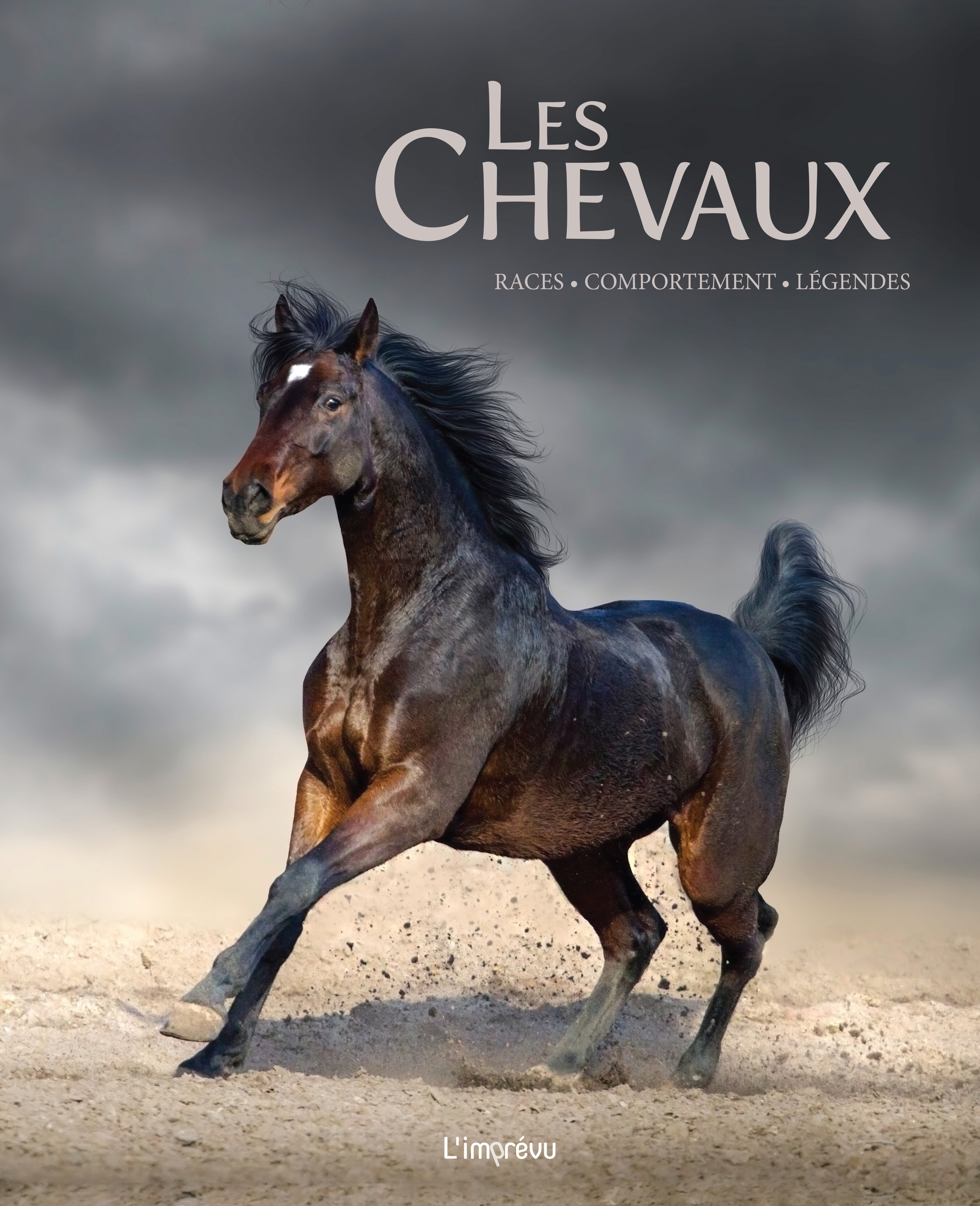 Les chevaux