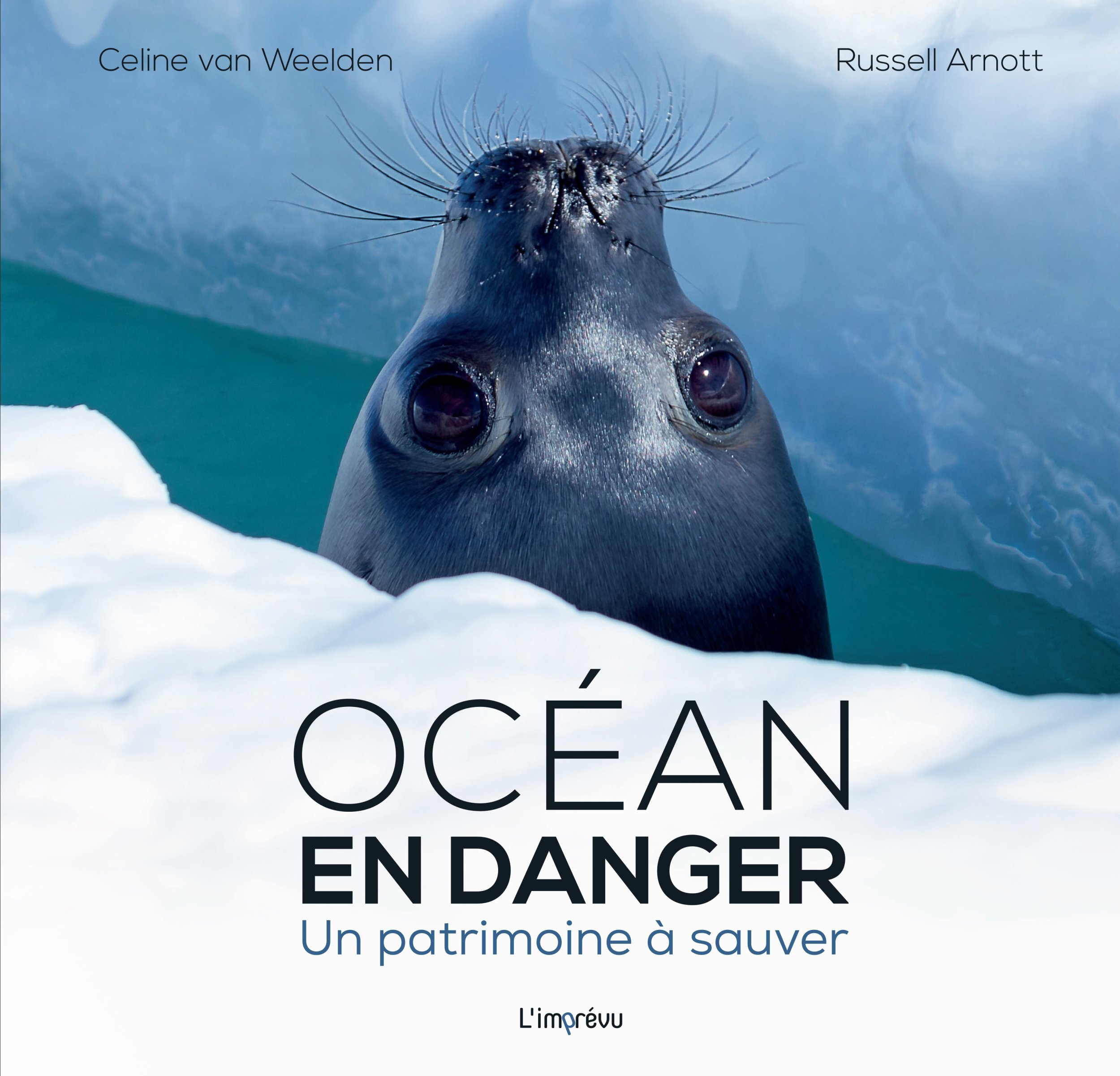 Océan en danger