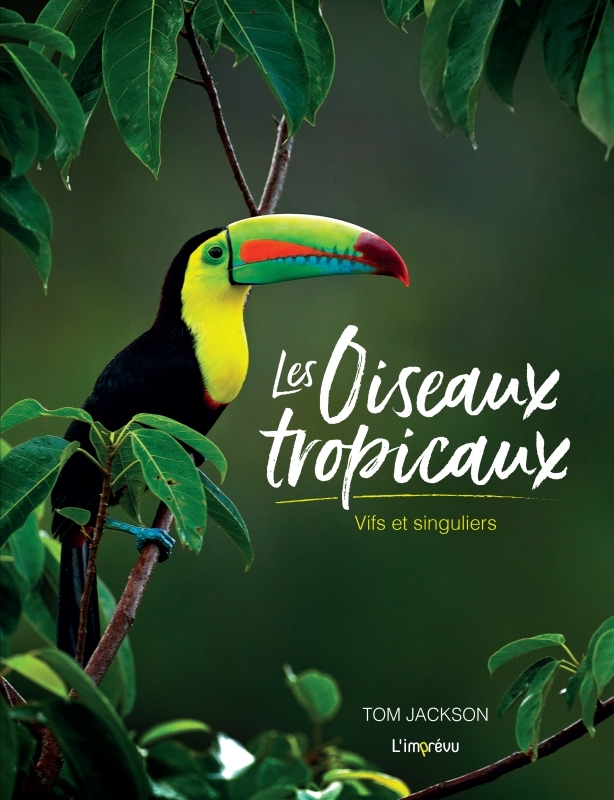Les oiseaux tropicaux
