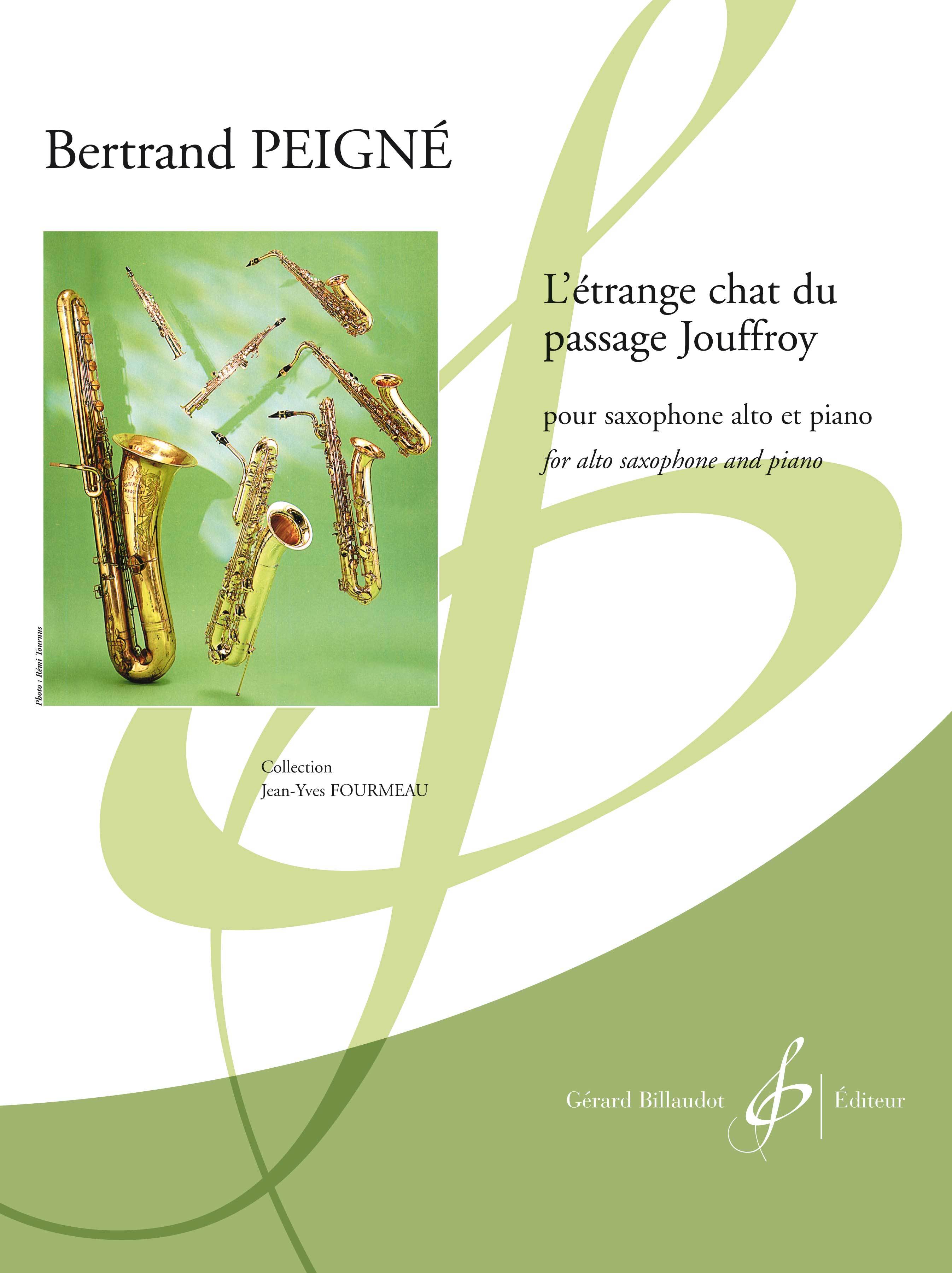 L'ETRANGE CHAT DU PASSAGE JOUFFROY