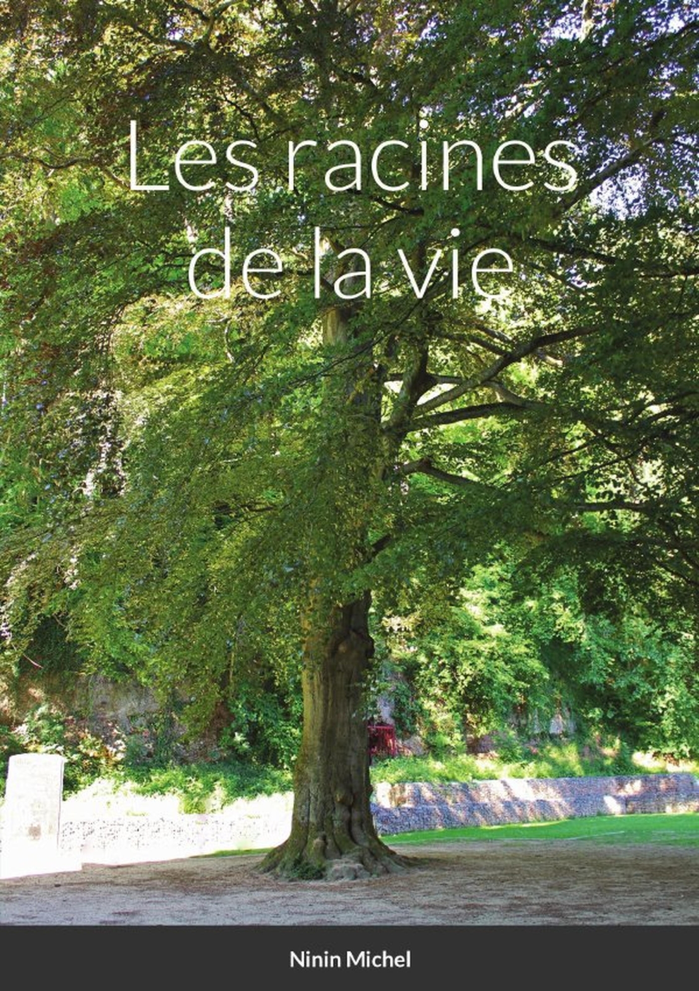 Les racines de la vie