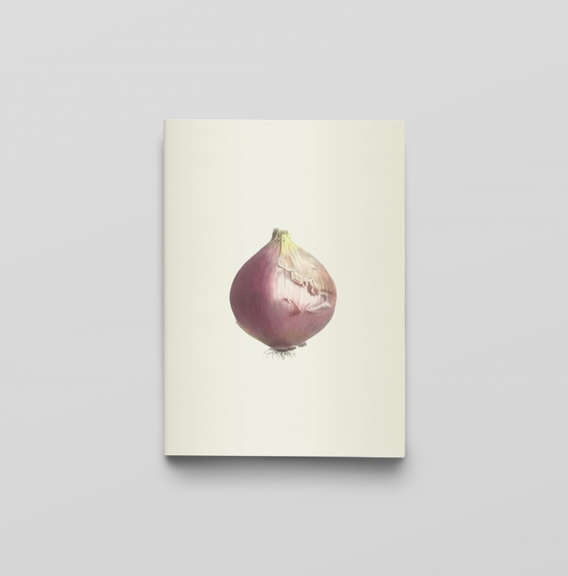 Carnet - Plantes potagères - Notes et Lectures