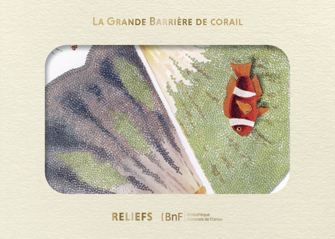 Livre d’images – La Grande Barrière de corail