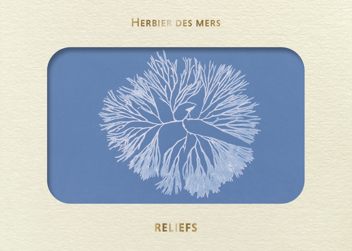 Livre d’images – Herbier des mers