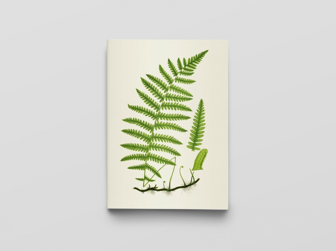 Carnet - Fougères et herbacées - Notes et Lectures