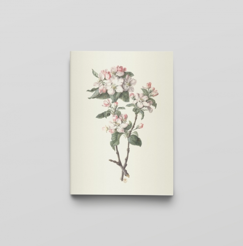 Dessins de fleurs - Carnet Notes et Lectures