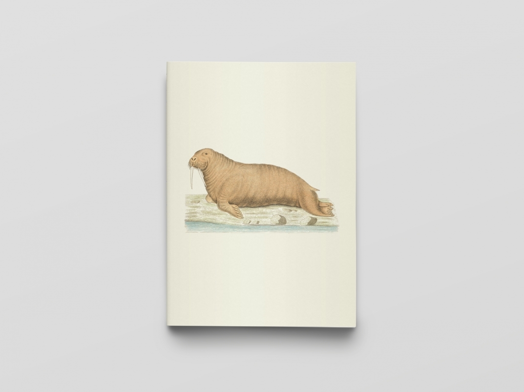 Carnet - Zoologica danica - Notes et Lectures