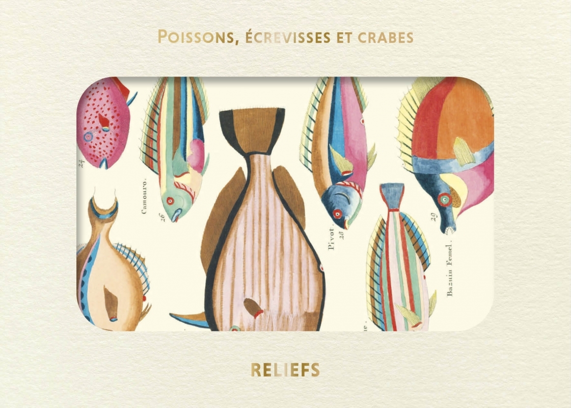 Livre d’images – Poissons, écrevisses et crabes