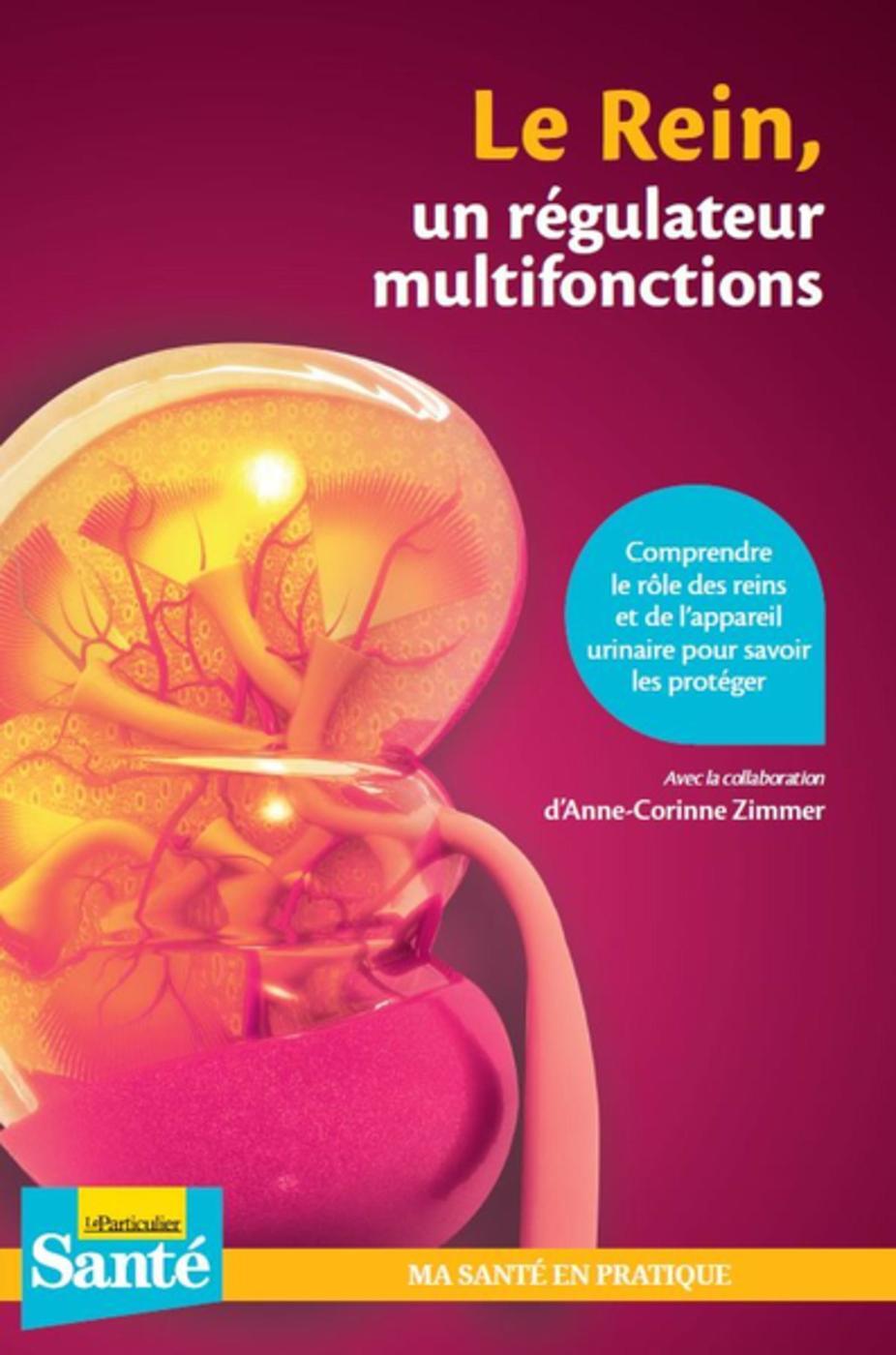 Le rein, un régulateur multifonctions