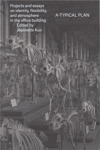 A-Typical Plan /anglais