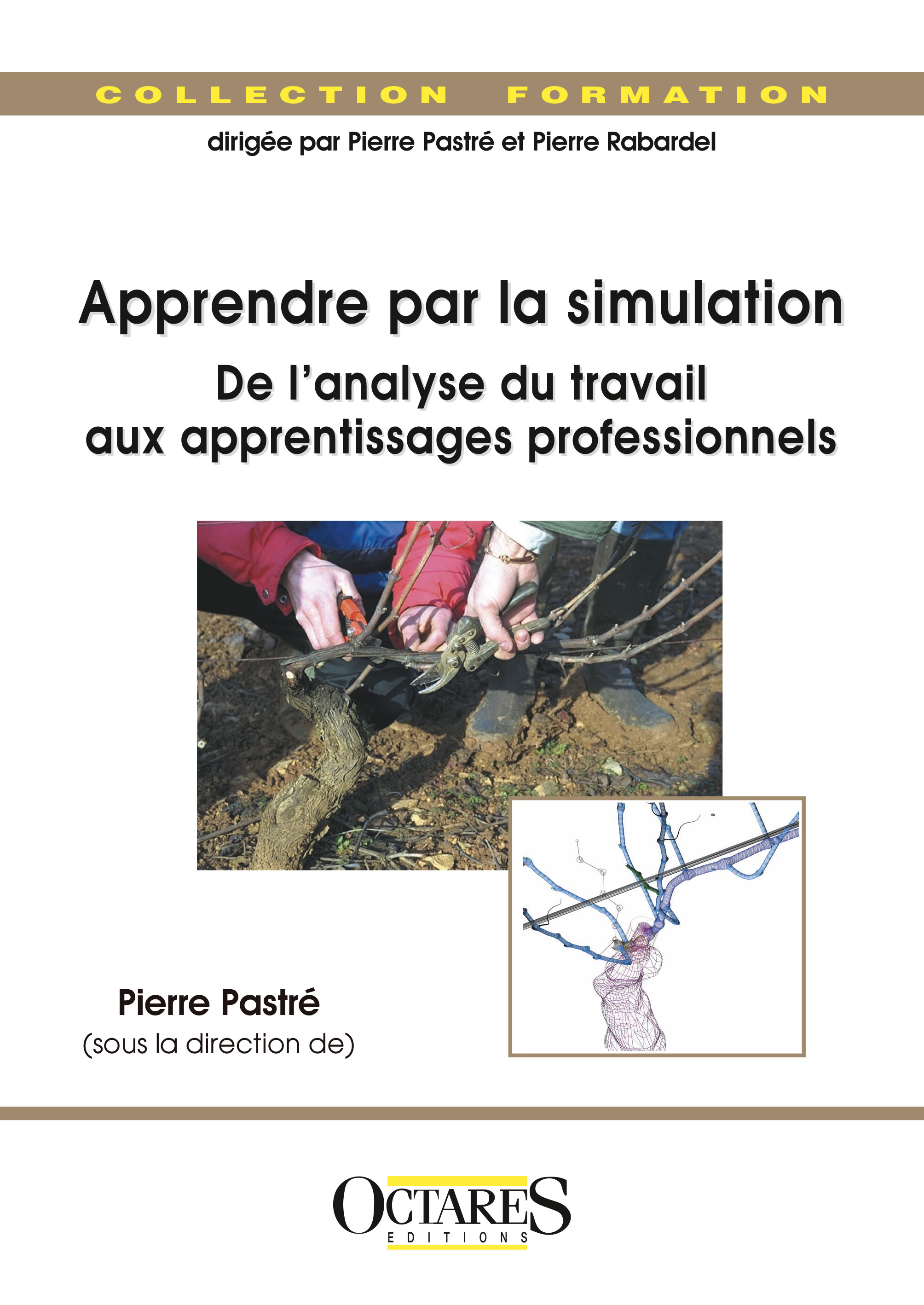 Apprendre par la simulation : de l'analyse du travail aux apprentissages professionnels