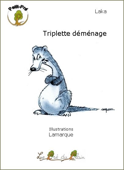 TRIPLETTE DEMENAGE