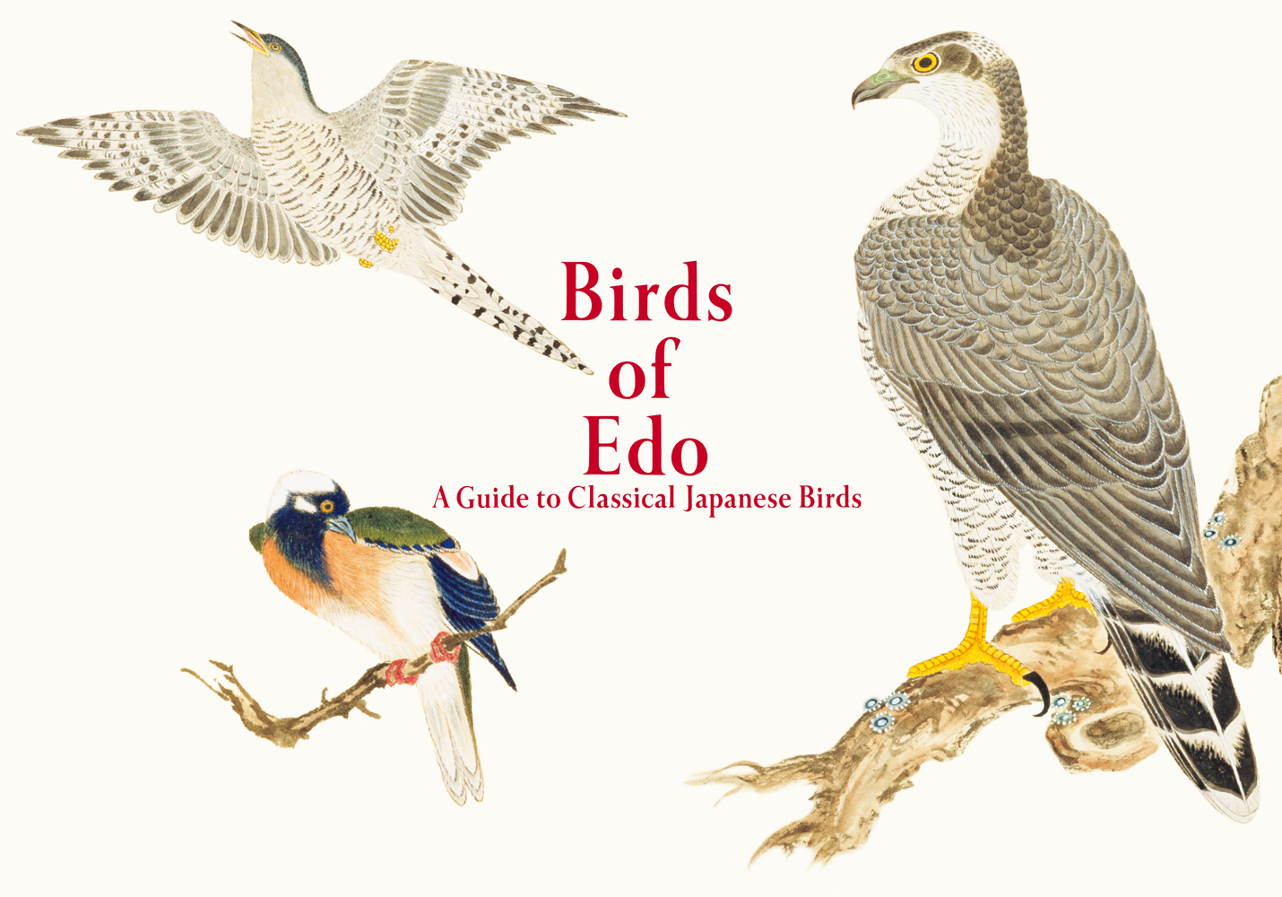 Birds of Edo: A Guide to Classical Japanese Birds /anglais/japonais