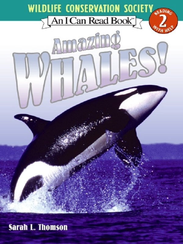 Amazing Whales!