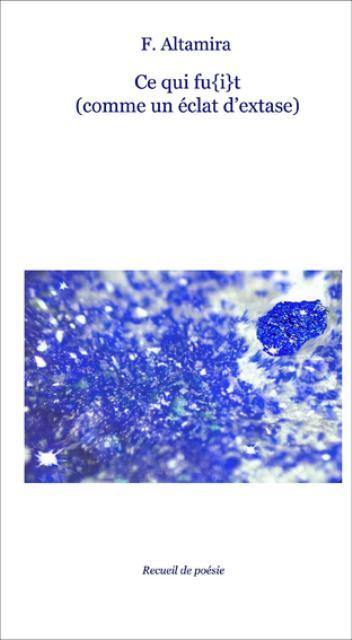 Ce qui fu{i}t (comme un éclat d'extase)