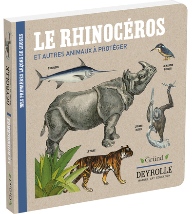 Le rhinocéros et autres animaux à protéger - Deyrolle