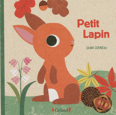 Livre nature Petit lapin