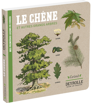 Le Chêne et autres grands arbres - Deyrolle