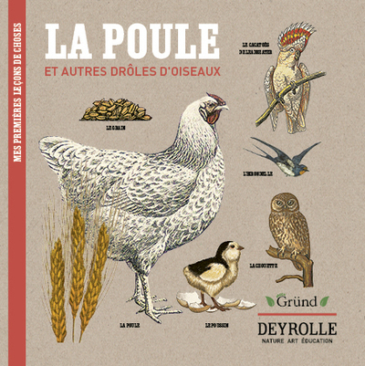 La poule et autres drôles d'oiseaux Deyrolle