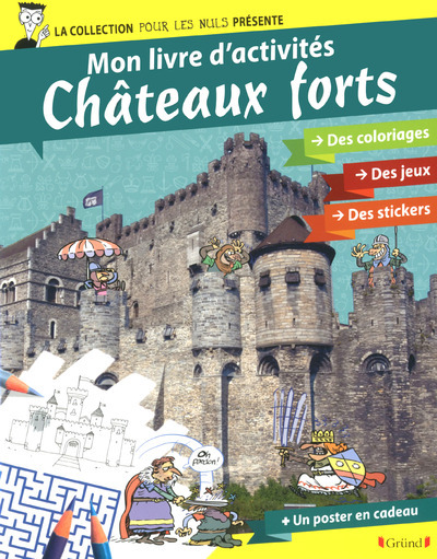 Pour les nuls activités - mon livre d'activités châteaux forts