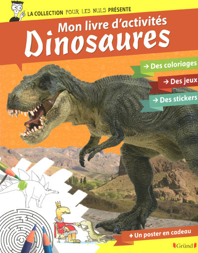 Pour les Nuls activités - mon livre d'activités dinosaures