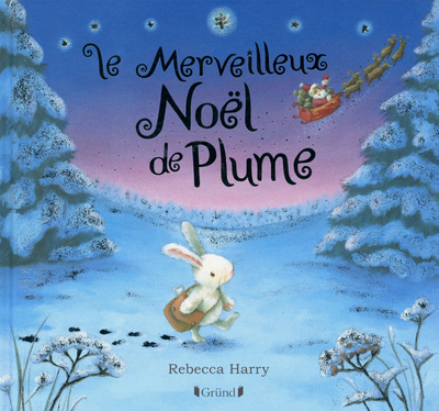 Le merveilleux Noël de plume