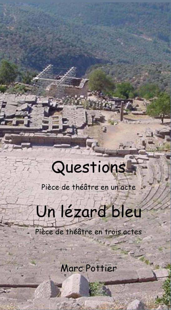 Questions et Un lézard bleu