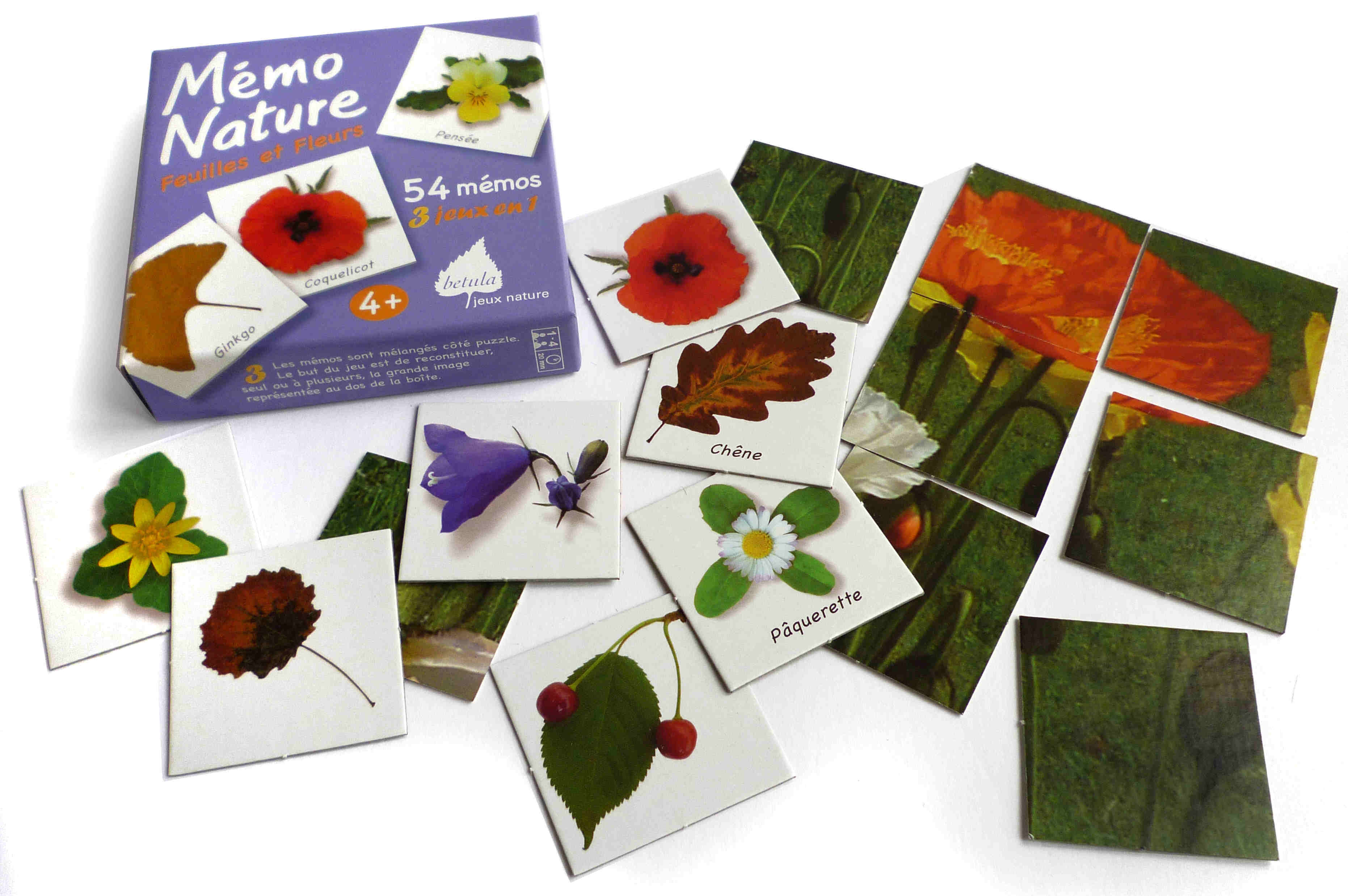 Memo nature feuilles et fleurs