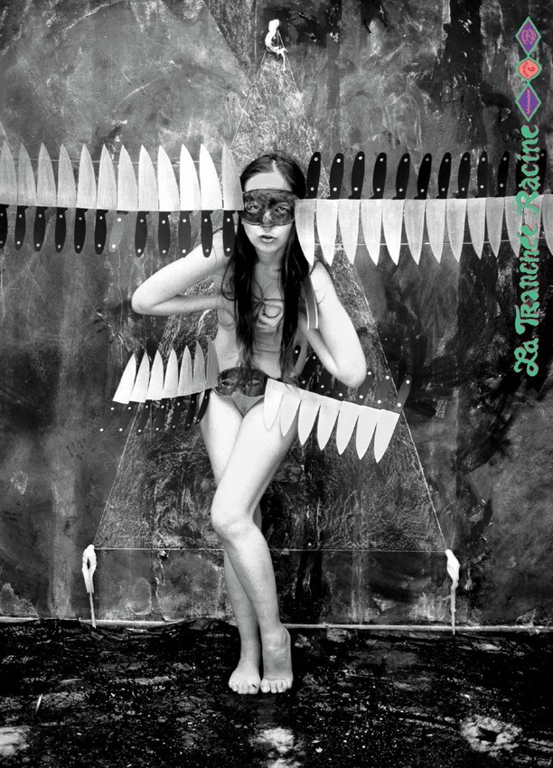 La Tranchée Racine hebdomadaire n° 06