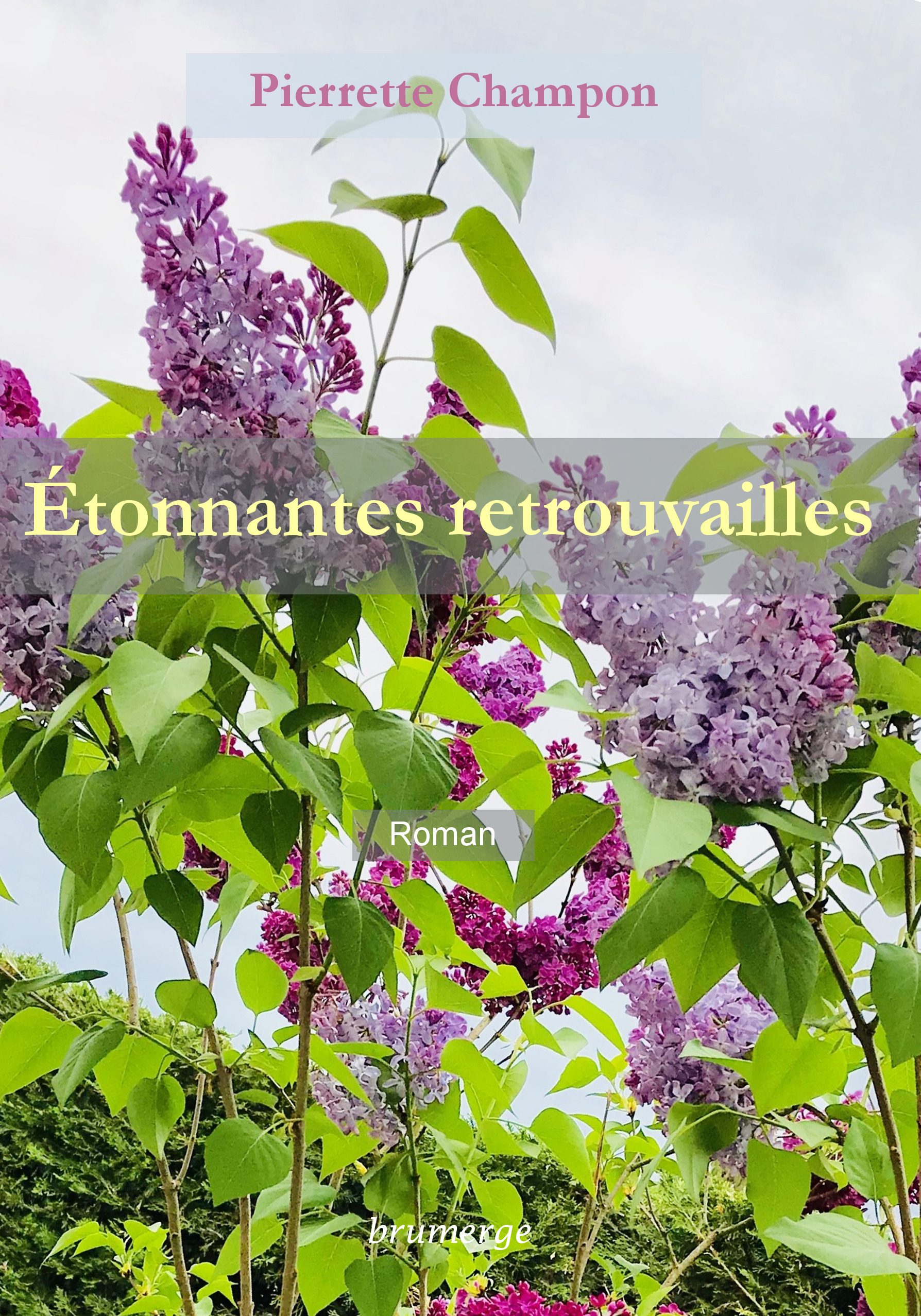 Étonnantes retrouvailles