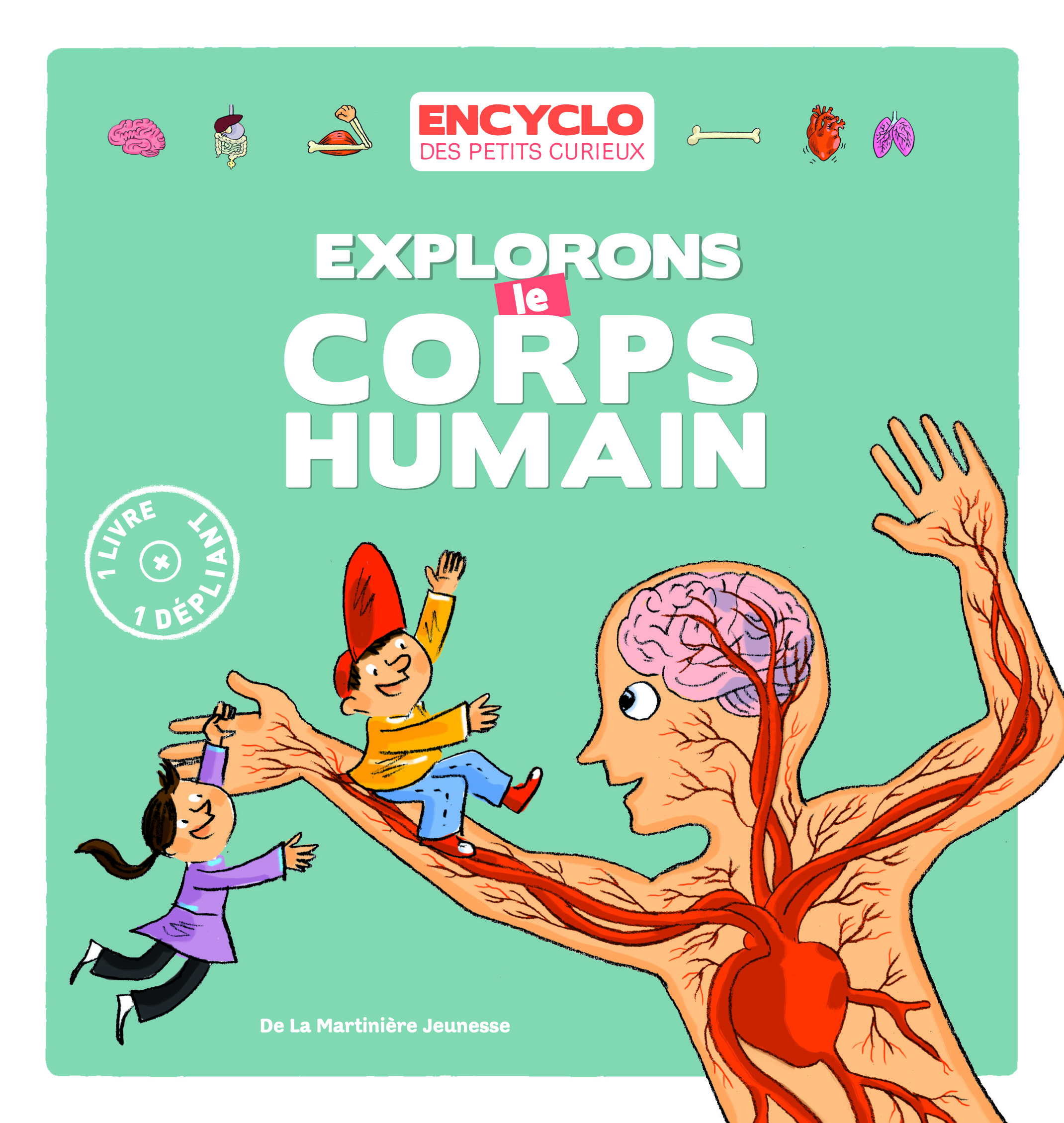 Explorons le corps humain