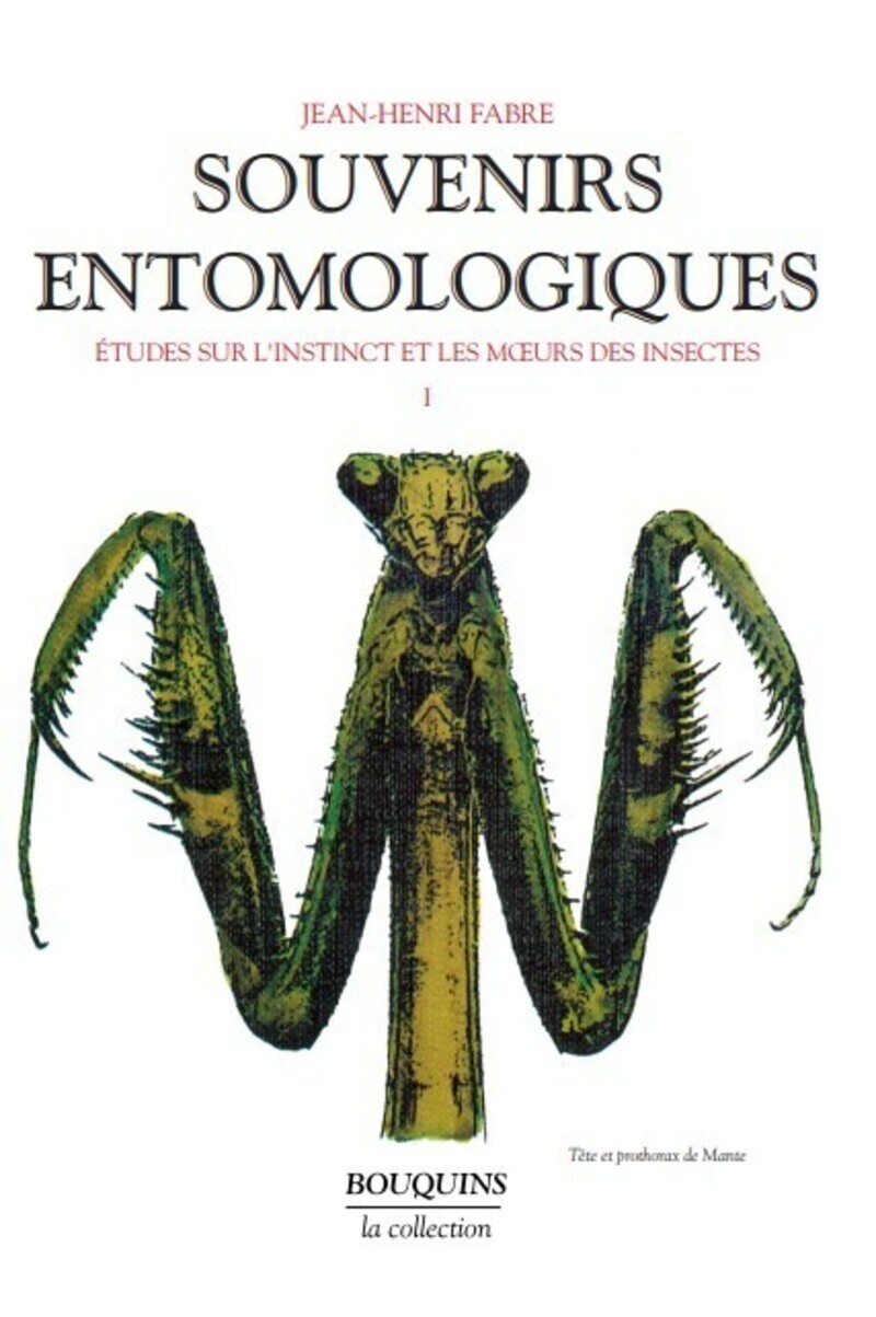 Souvenirs entomologiques - tome 1