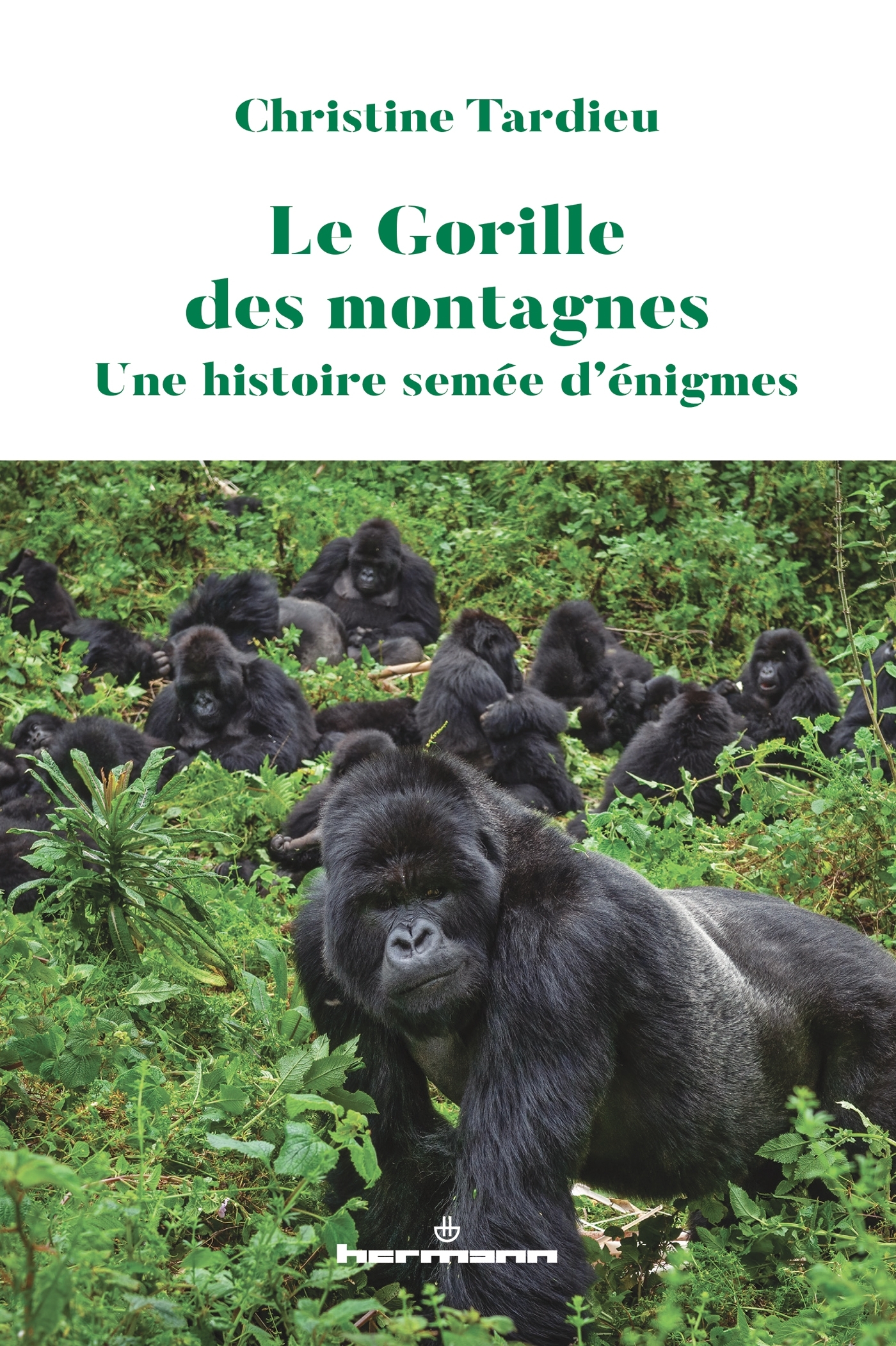 Le Gorille des montagnes