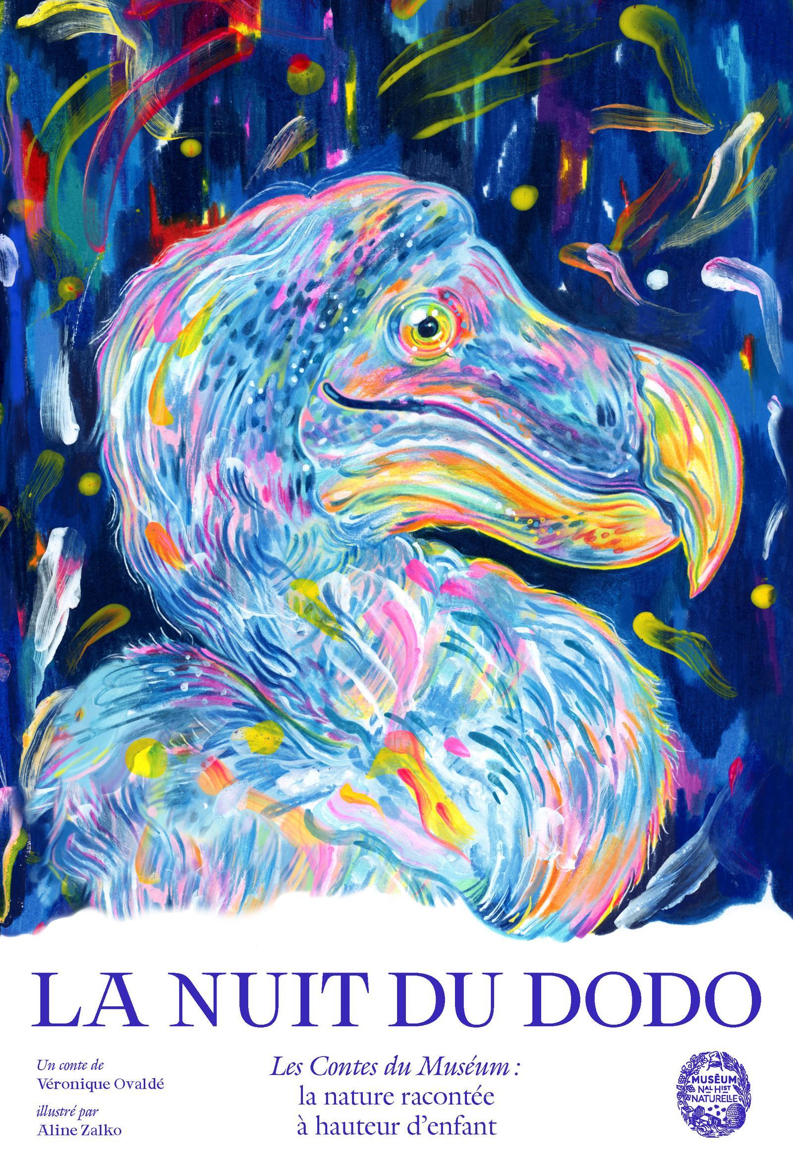 La nuit du dodo - AFFICHE