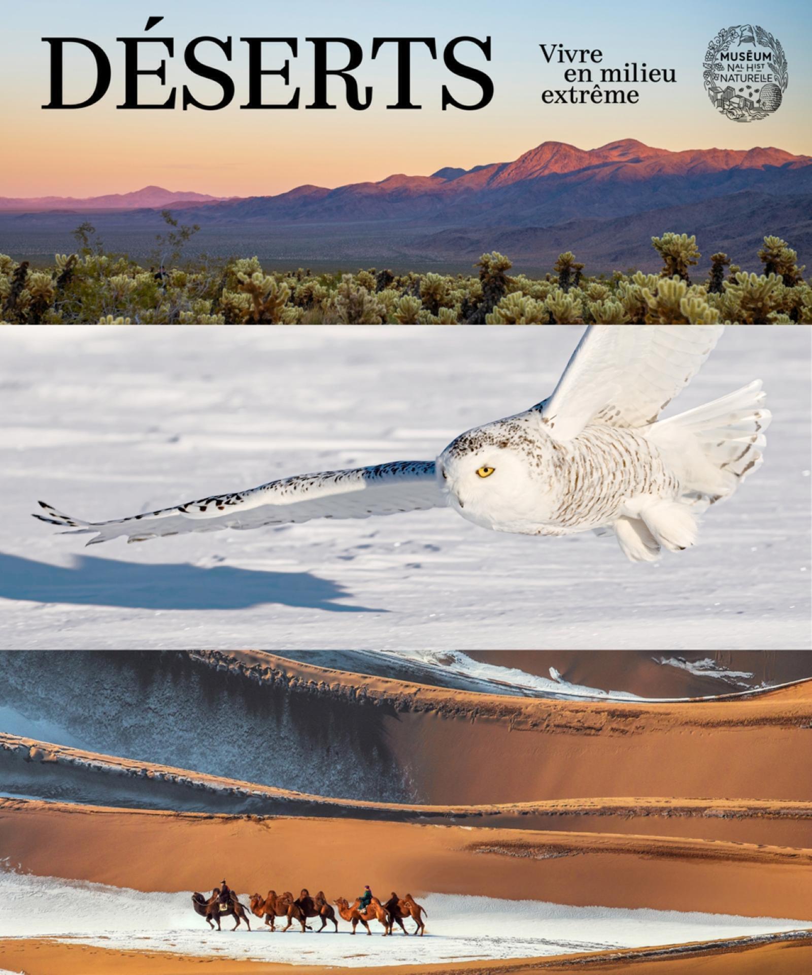 Déserts - Vivre en milieu extrême