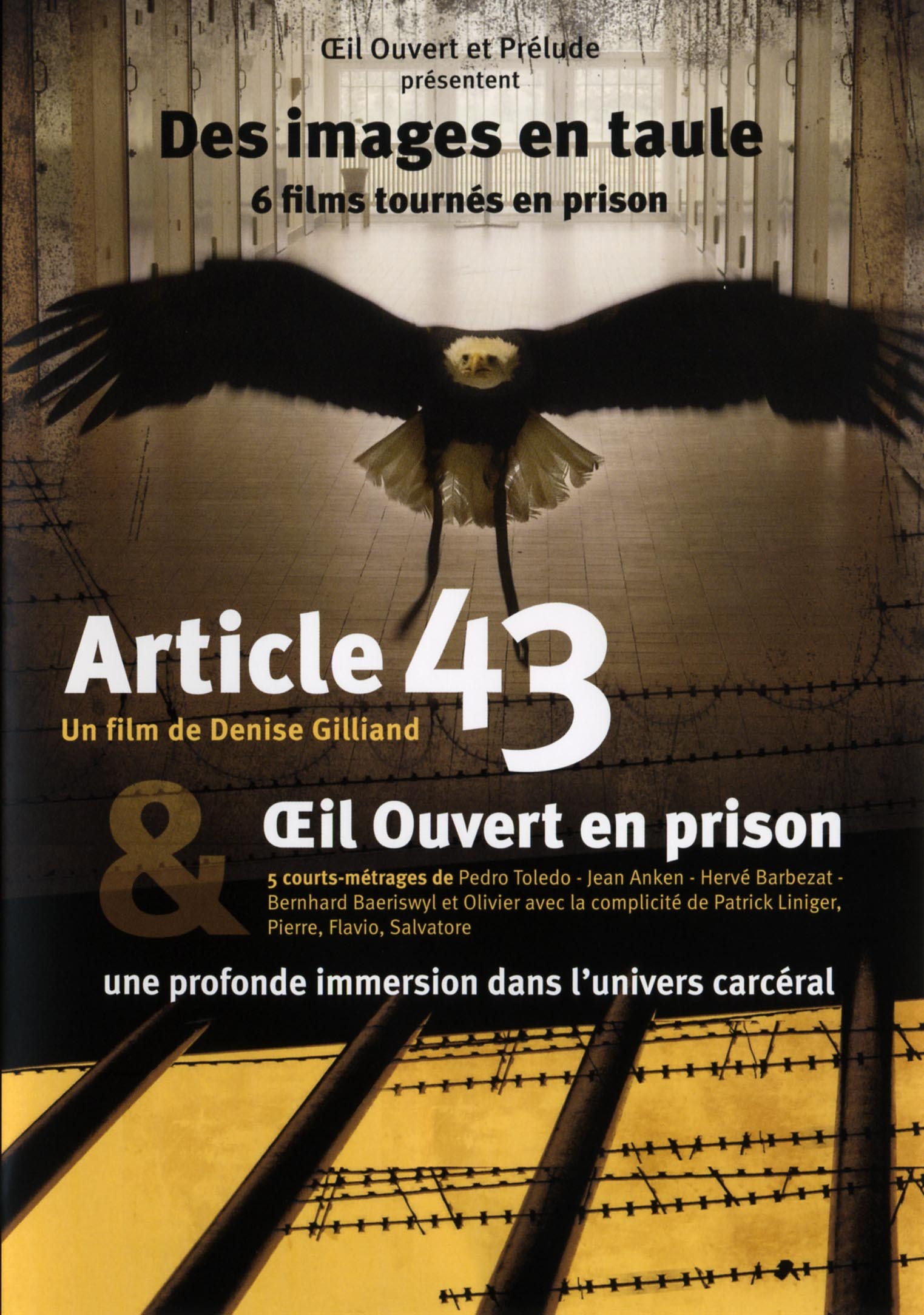 ARTICLE 43 - DVD