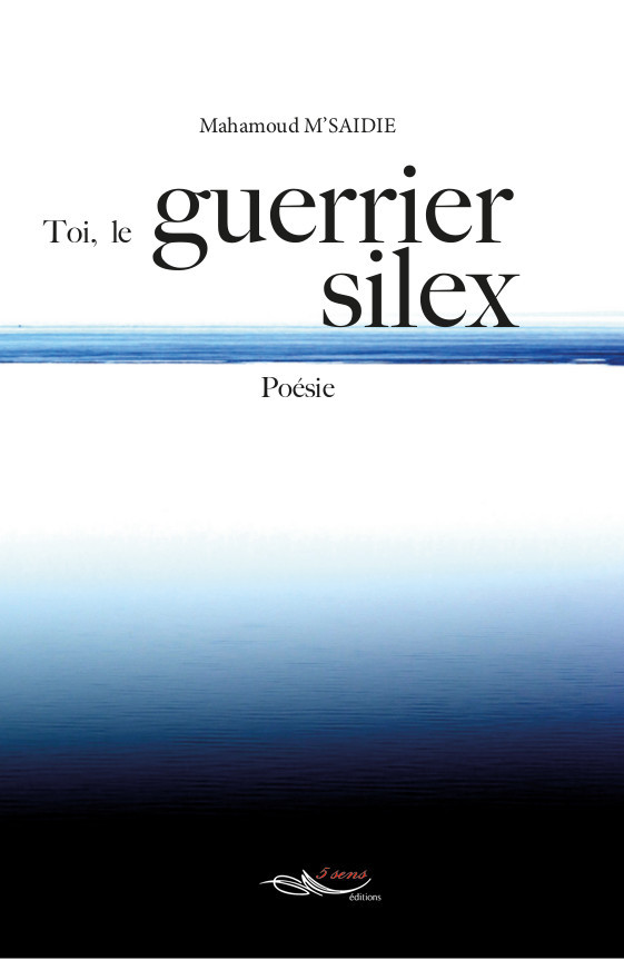 Toi, le guerrier silex