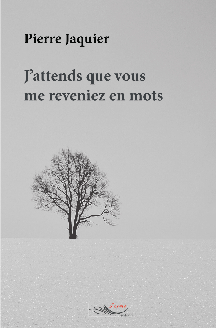 J'attends que vous me reveniez en mots