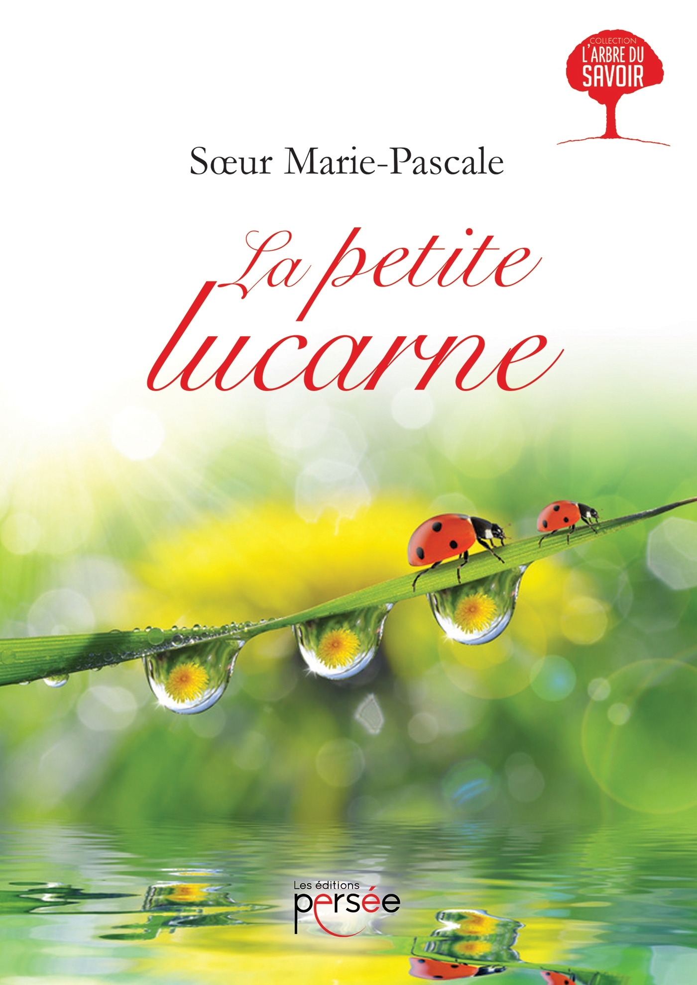 La petite lucarne