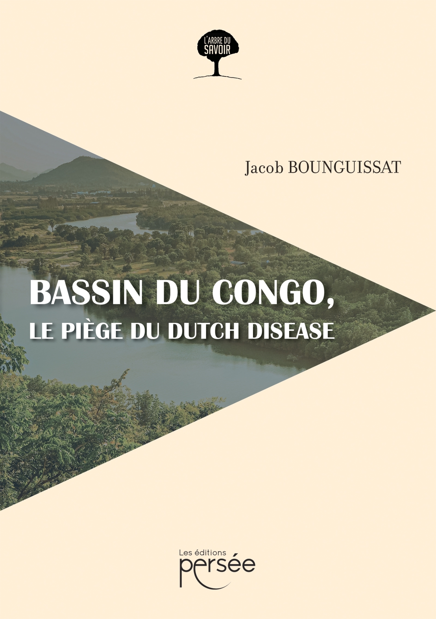 Bassin du Congo, le piège du dutch disease
