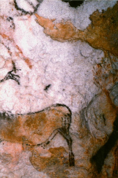 La Préhistoire - Histoire et Dictionnaire - Coffret