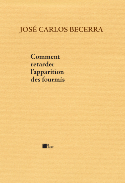 Comment retarder l’apparition des fourmis