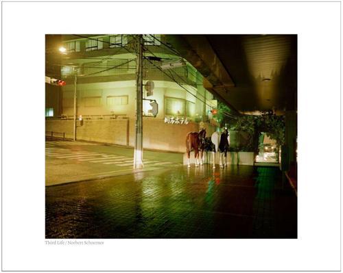 Norbert Schoerner Third Life /anglais