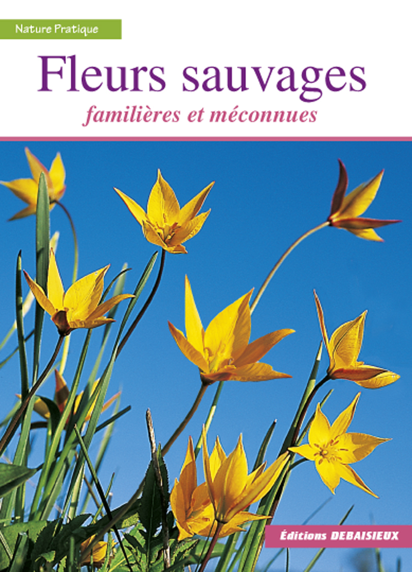 FLEURS SAUVAGES / FAMILIERES ET MECONNUES