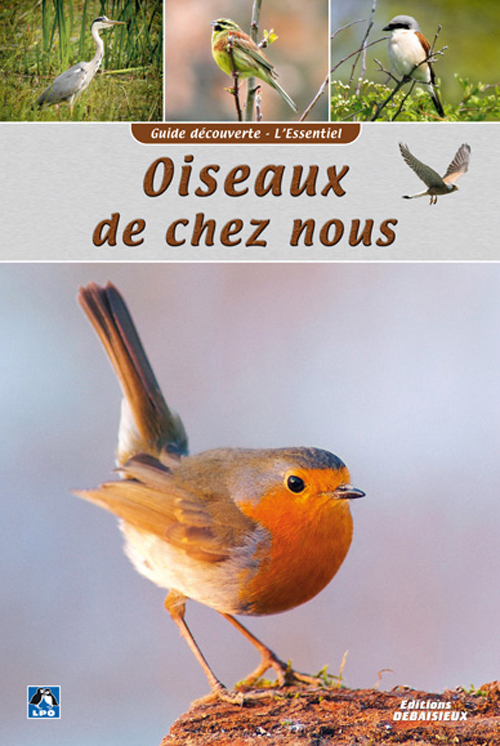 Guide découverte OISEAUX DE CHEZ NOUS