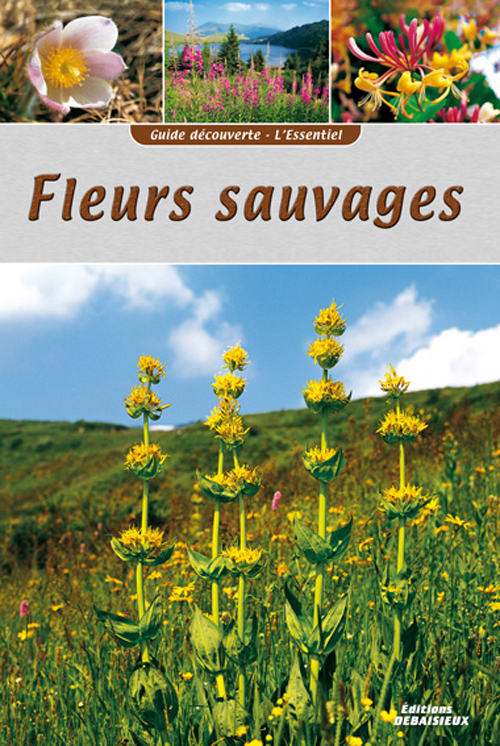 Guide découverte FLEURS SAUVAGES